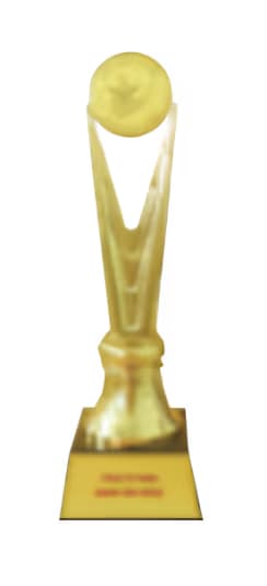 Certificate 11